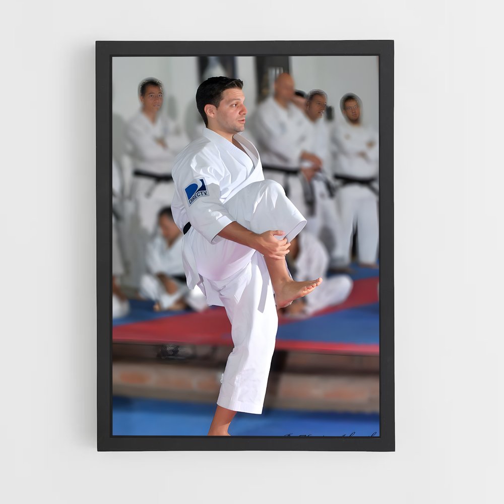 Poster Karate Masterclass – affiche Karaté (vue 2)